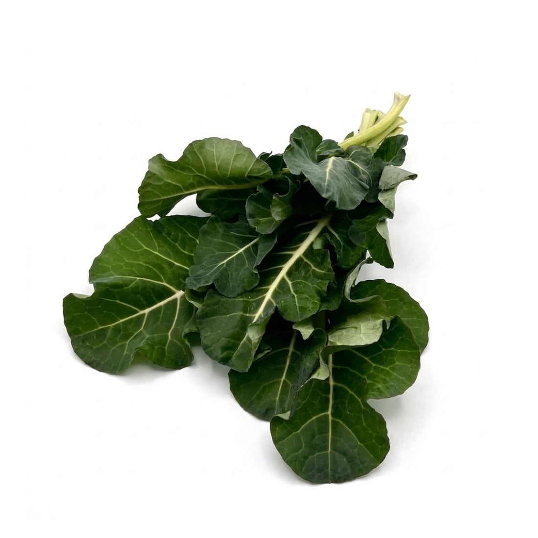 Broccolibladeren (1kg)