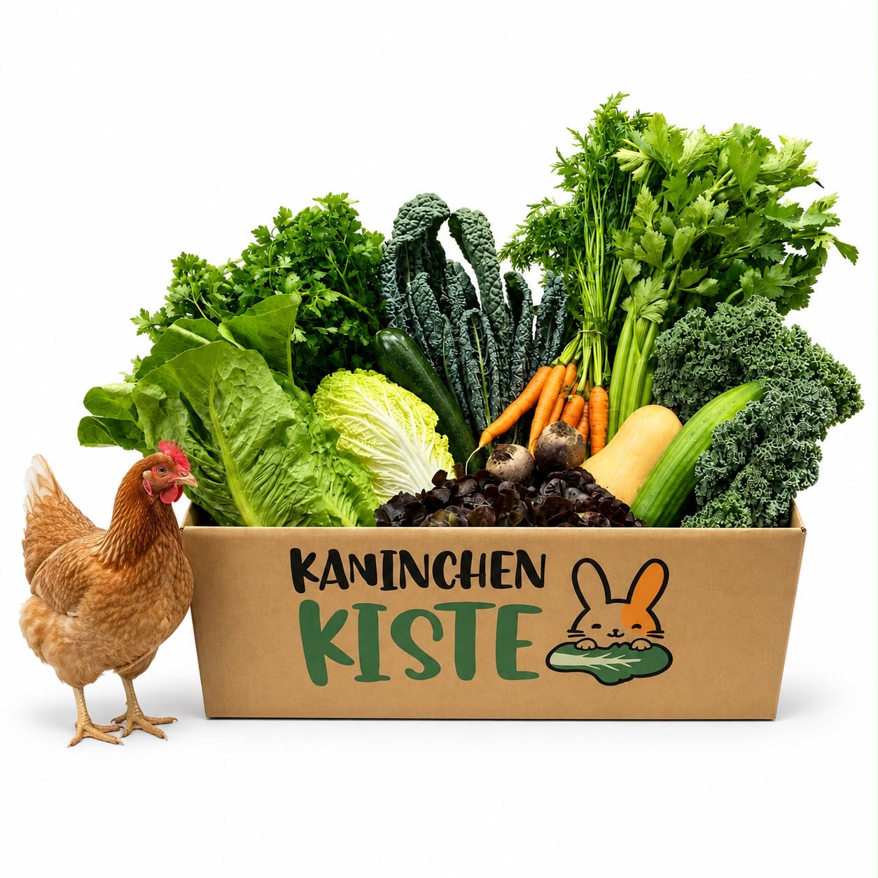 Frischekiste Hühner