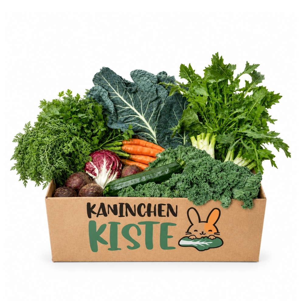 Fresh box spécial automne