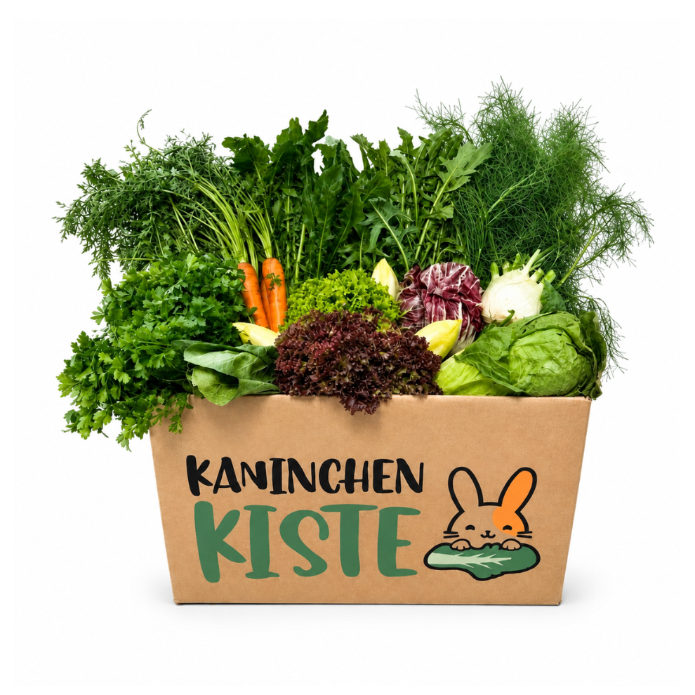 Frischekiste Mix ohne Kohl