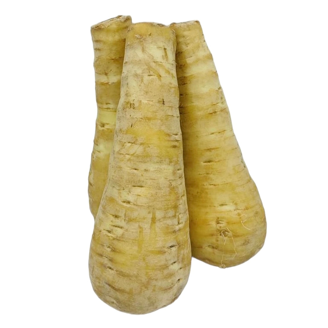 Pastinake Kaninchenkiste pastinake-kaninchenkiste