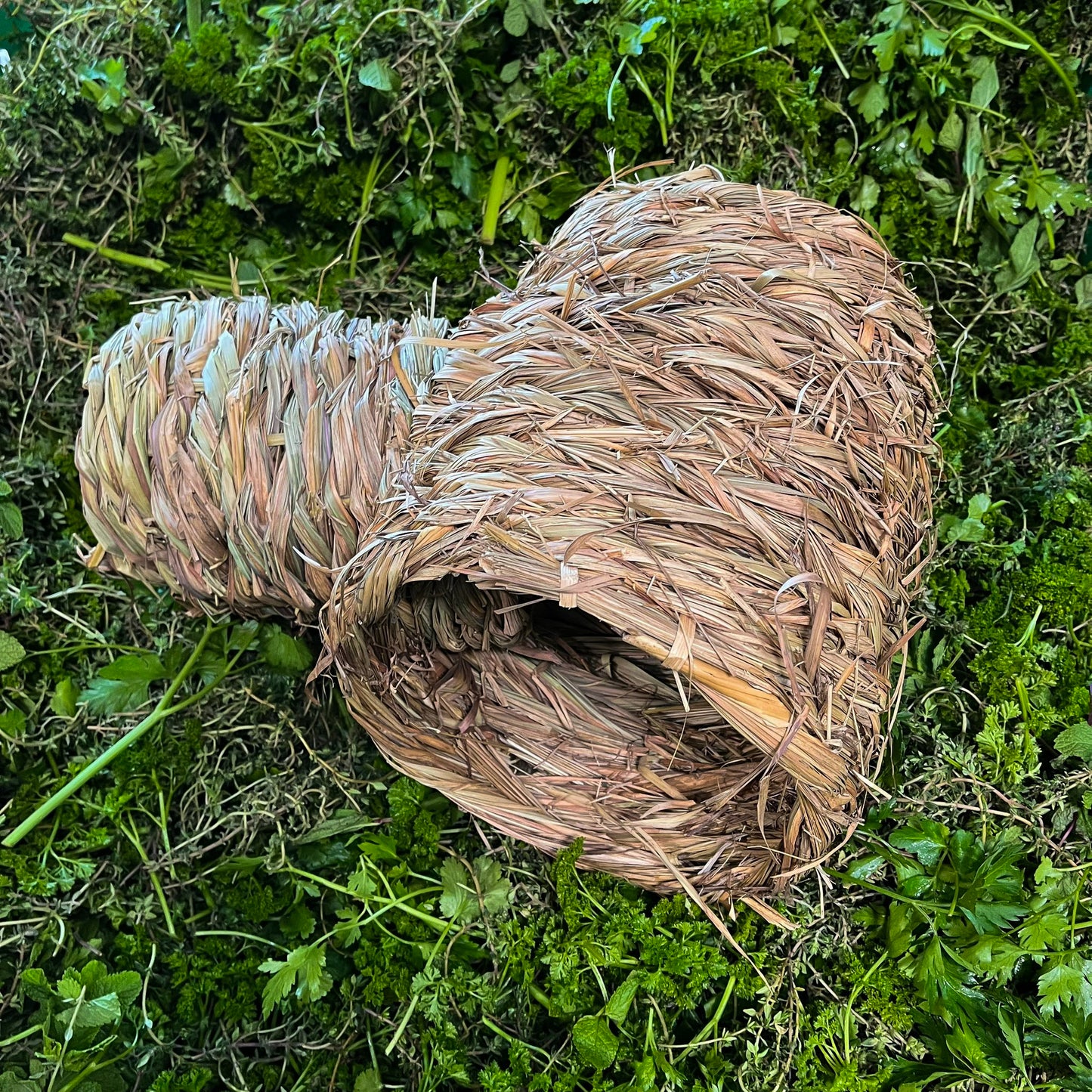Grastunnel mit 3 Eingängen