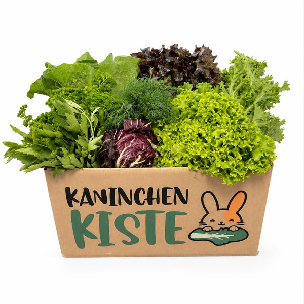 Frischekiste KräuSa - Kräuter und Salat