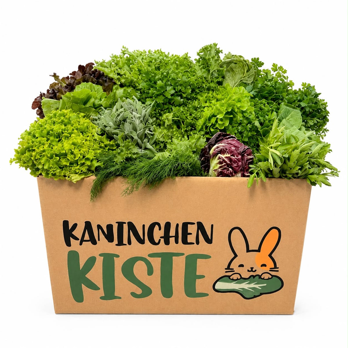 Versbox KräuSa - kruiden en salade