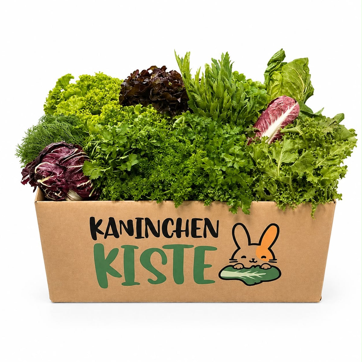 Versbox KräuSa - kruiden en salade