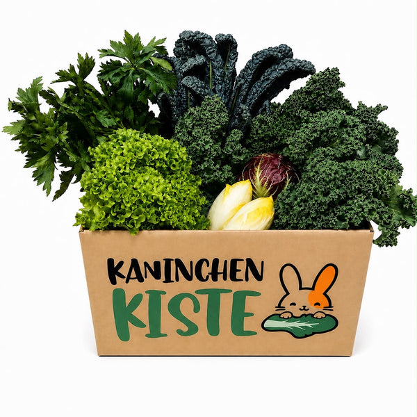 Frischekiste Mix