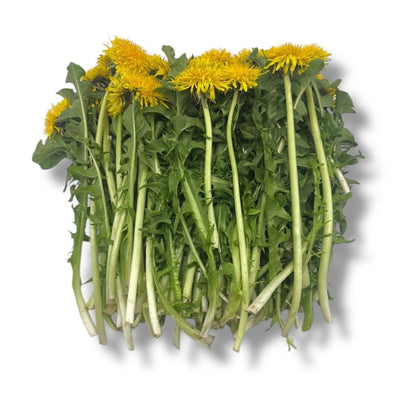 Löwenzahnblätter mit Blüten, lose, 5Kg