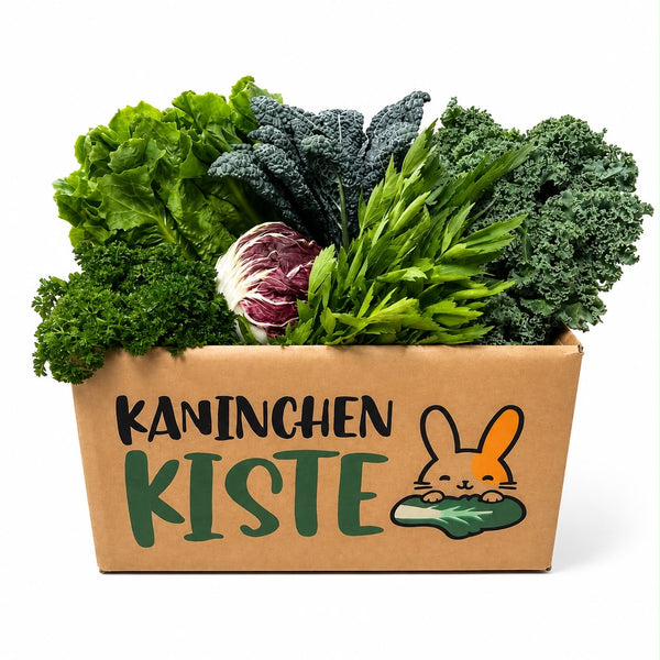 Frischekiste Blase - Niere