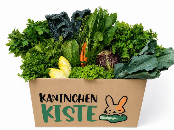 Mélange frais de boîte