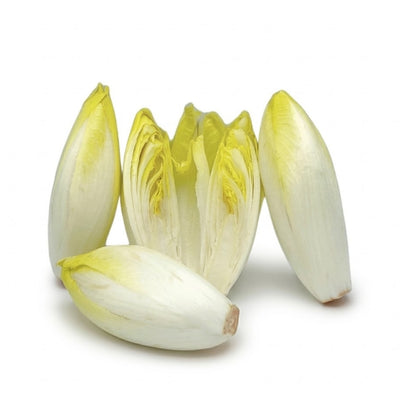 Chicoree 200gr