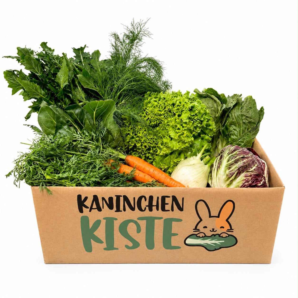 Frischekiste Mix ohne Kohl