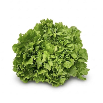 andijvie salade