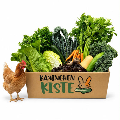 Frischekiste Hühner