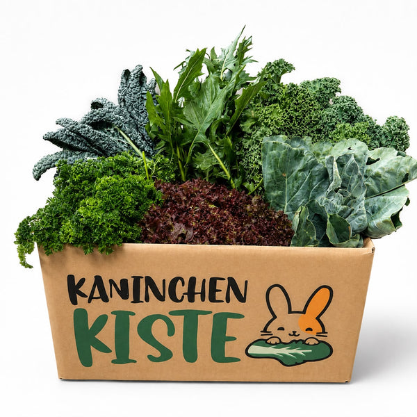 Kennenlern - Frischekiste