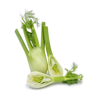 Fenchel