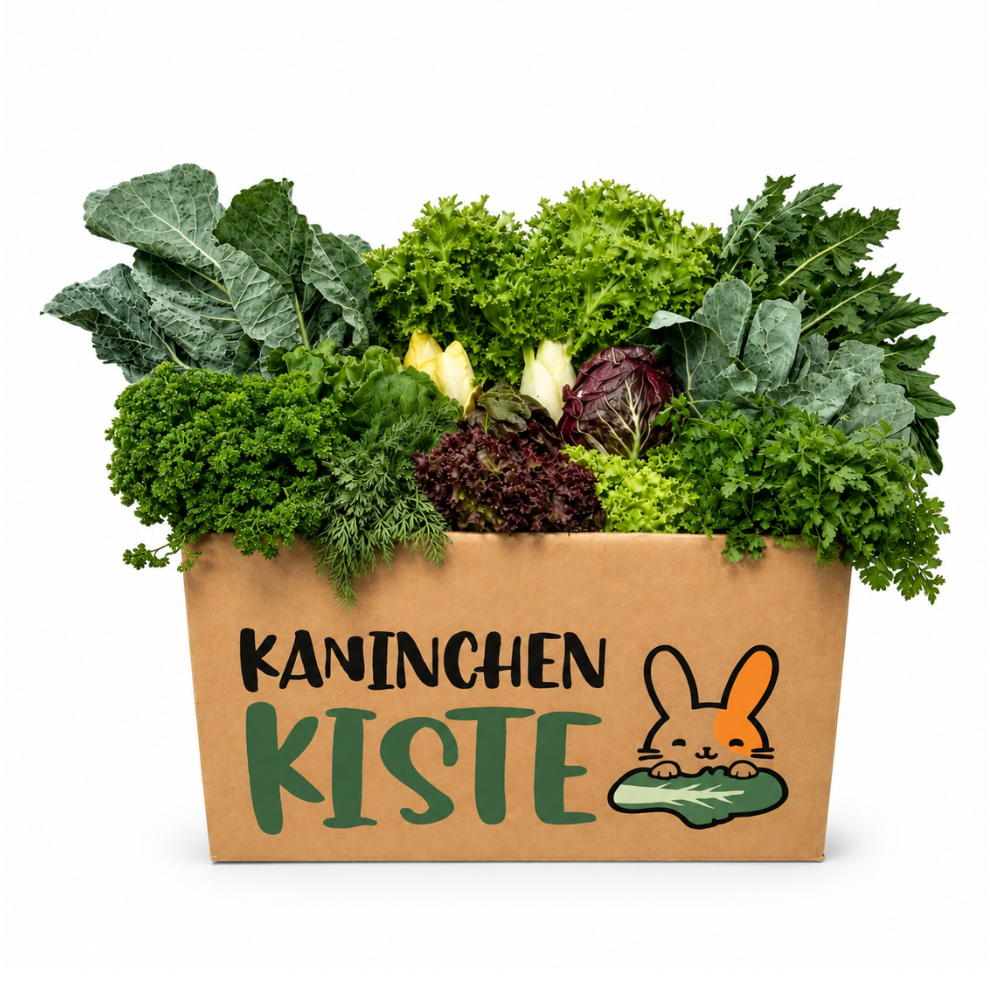 Frisbox voor buikwelzijn