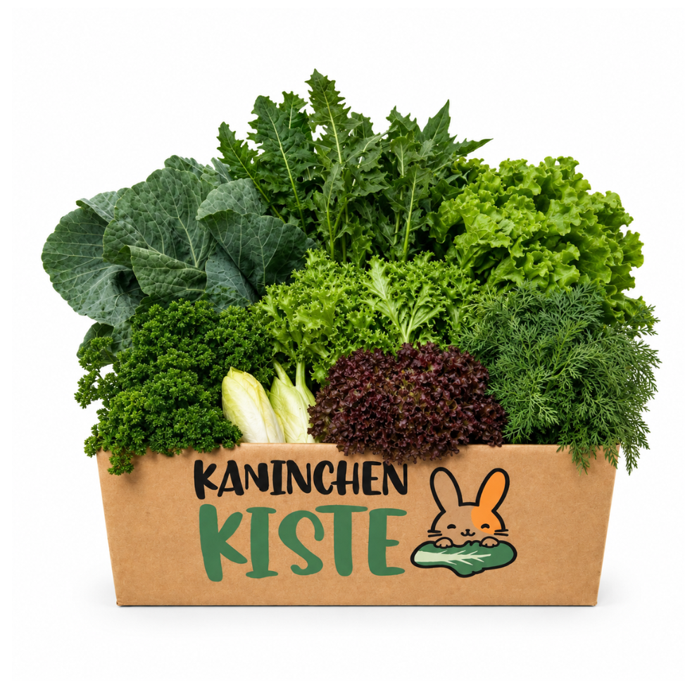 Frisbox voor buikwelzijn