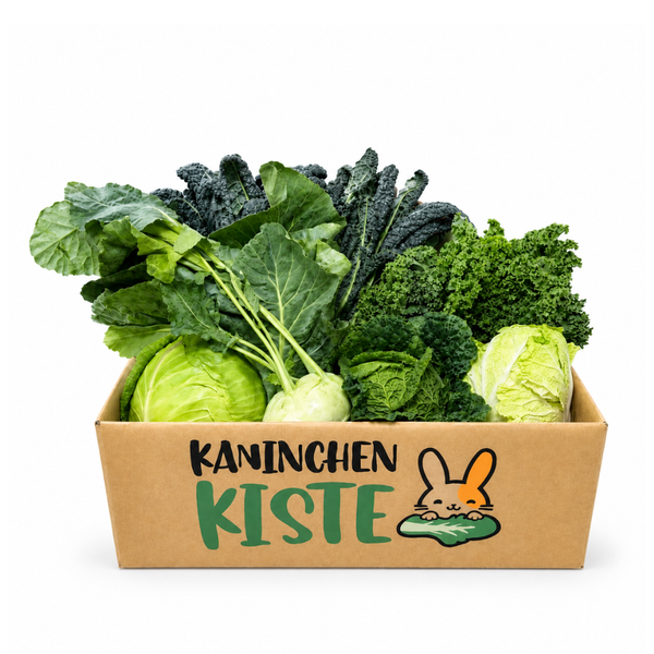 Frischekiste Kohl