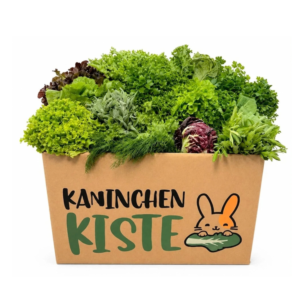 Versbox KräuSa - kruiden en salade