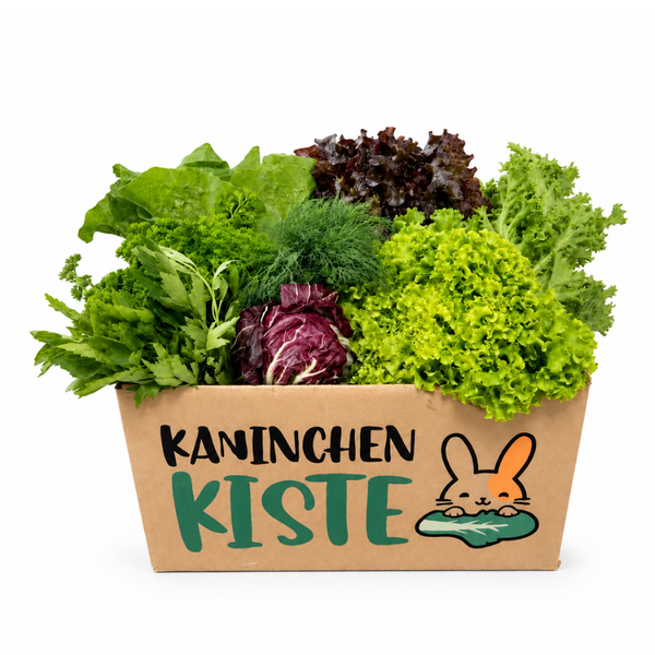 Frischekiste KräuSa - Kräuter und Salat