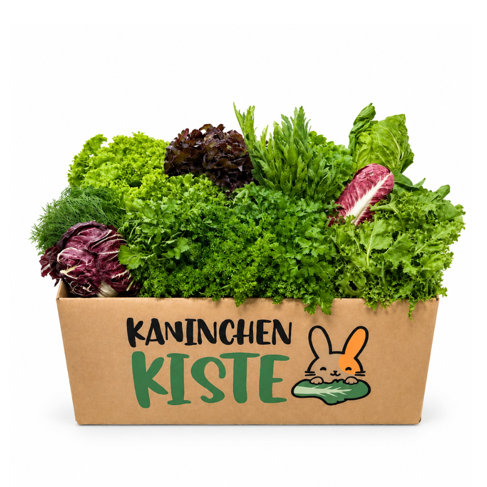 Versbox KräuSa - kruiden en salade