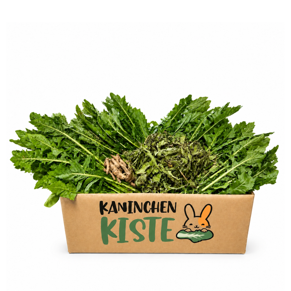 Frischekiste Löwenzahnmix