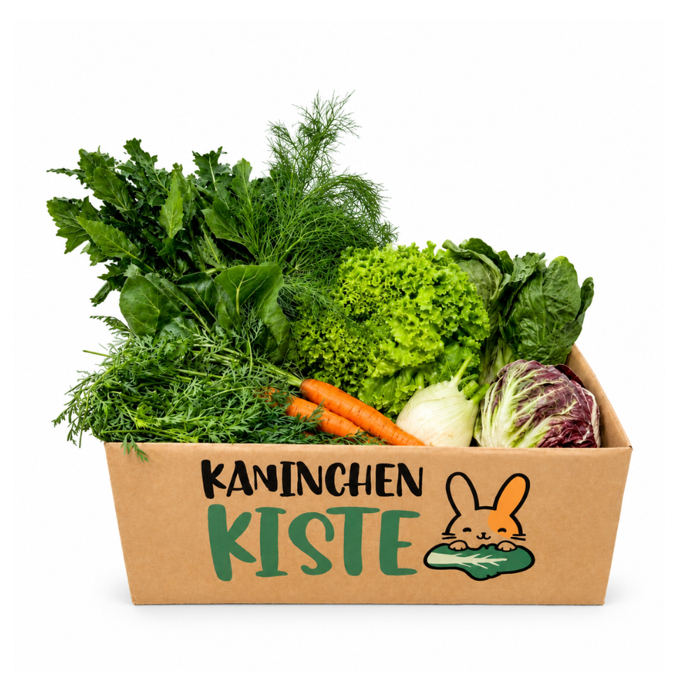 Frischekiste Mix ohne Kohl