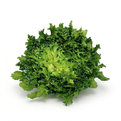 Frisee Salat