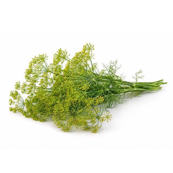 Concombre aneth / fleurs d'aneth, 1kg