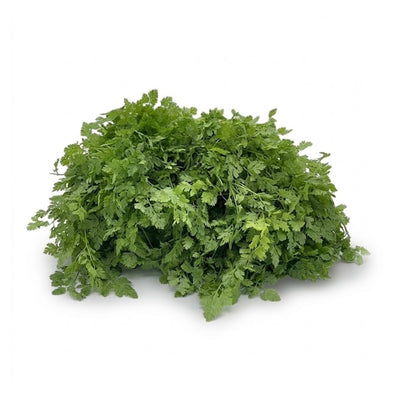 Kerbel