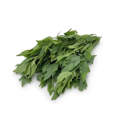 Liebstöckel