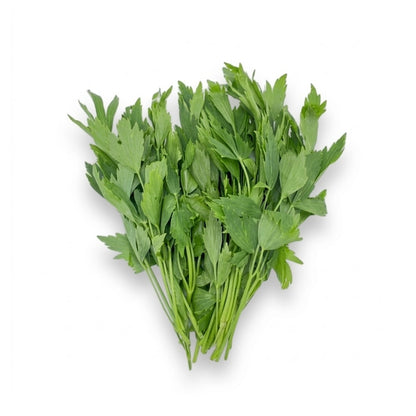 Liebstöckel