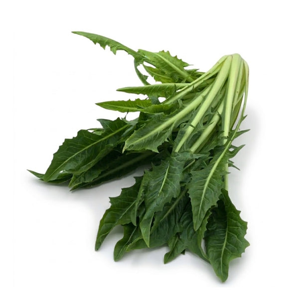 Paardebloemsalade/Catalogna