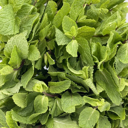menthe
