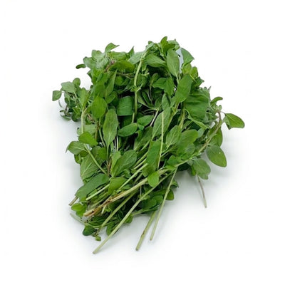 Oregano