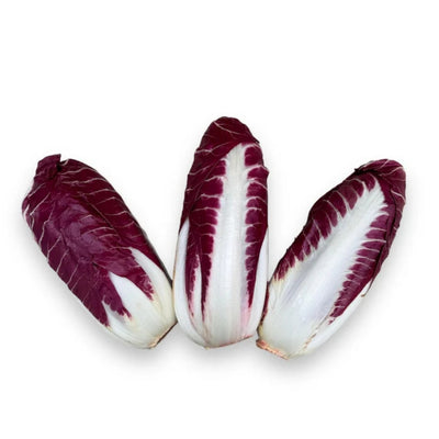 Radicchio Trevisano