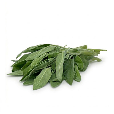 Salbei