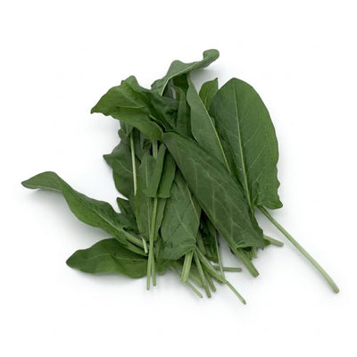 Sauerampfer