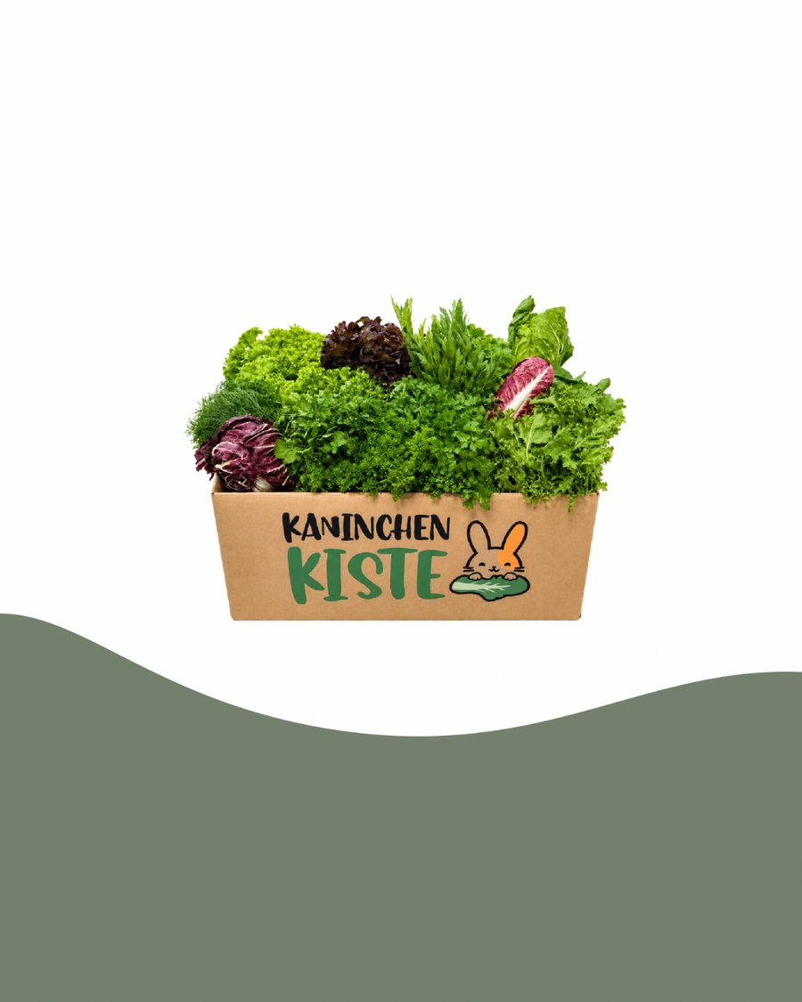 Spare 25% auf Frischekiste KräuSa