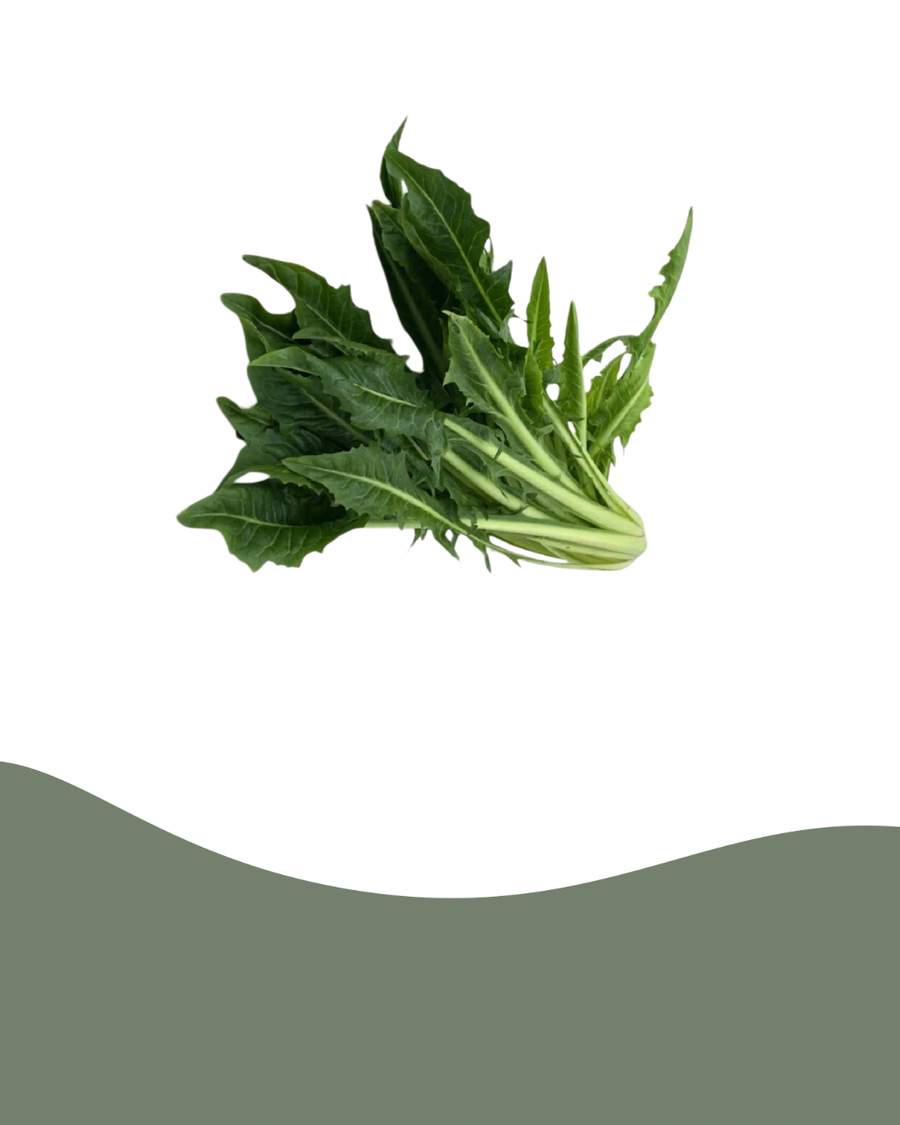 Spare 40% auf Löwenzahnsalat