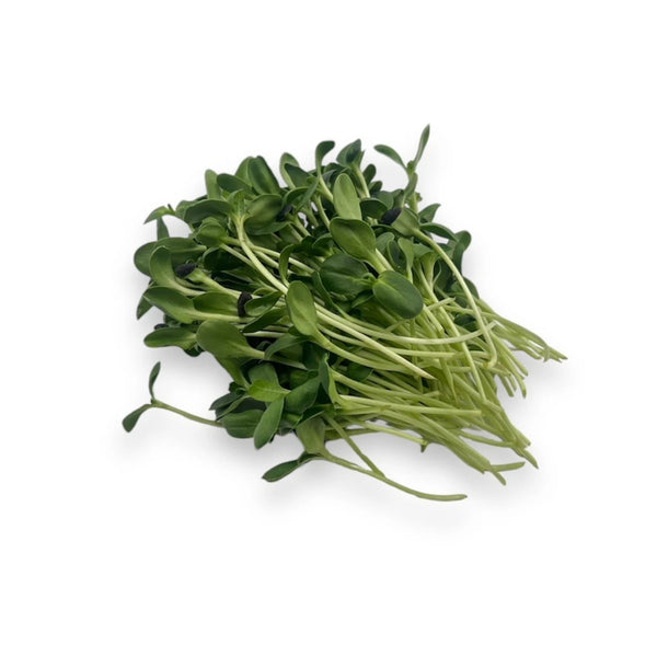 Cresson de tournesol, tranché