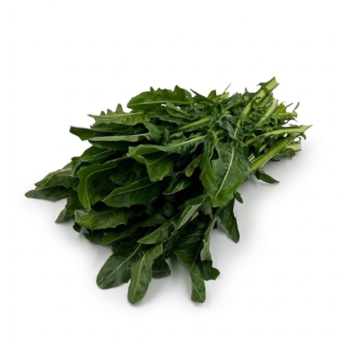 Pointes de salade de pissenlit (Catalogna sans tige), 500g