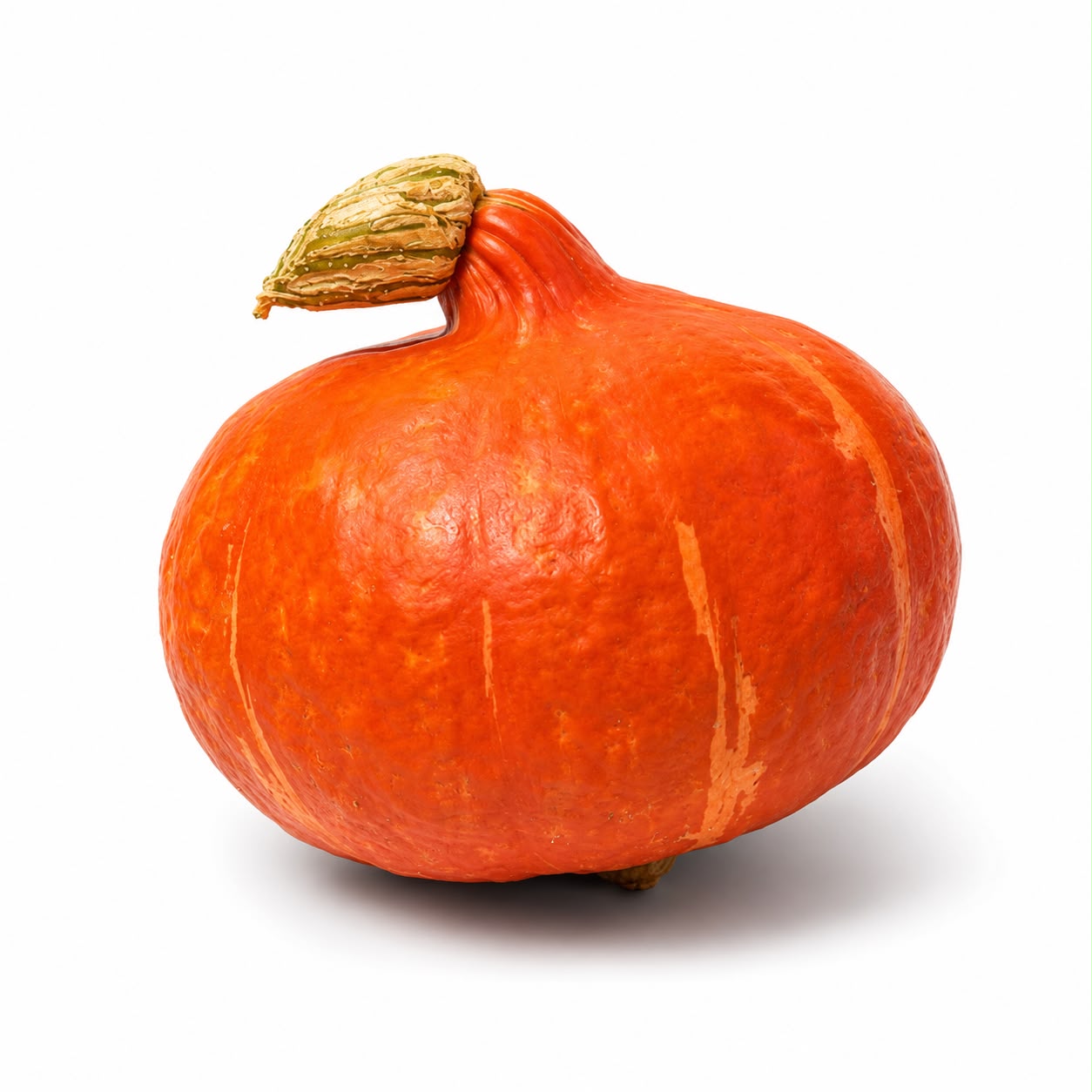 Kürbis