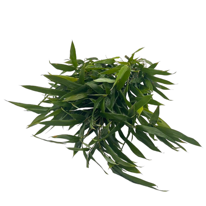 Bambou 100gr für Kaninchen