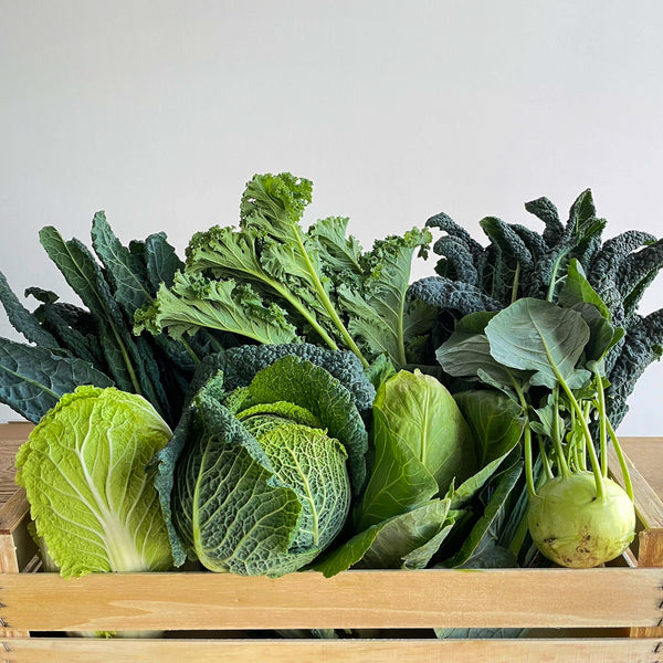 Frischekiste Kohl