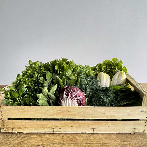 Frischekiste KräuSa - Kräuter und Salat