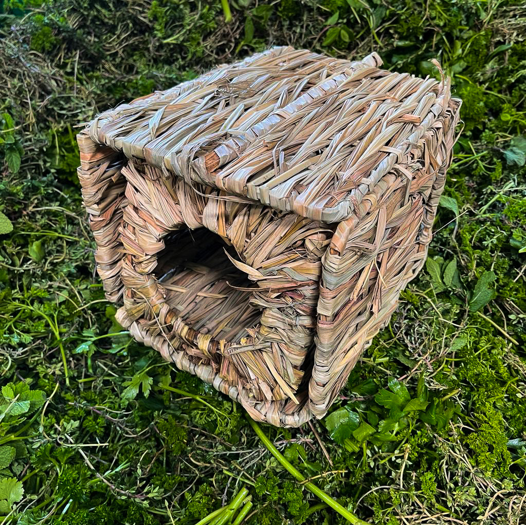 Gras-Haus mit 2 Eingängen