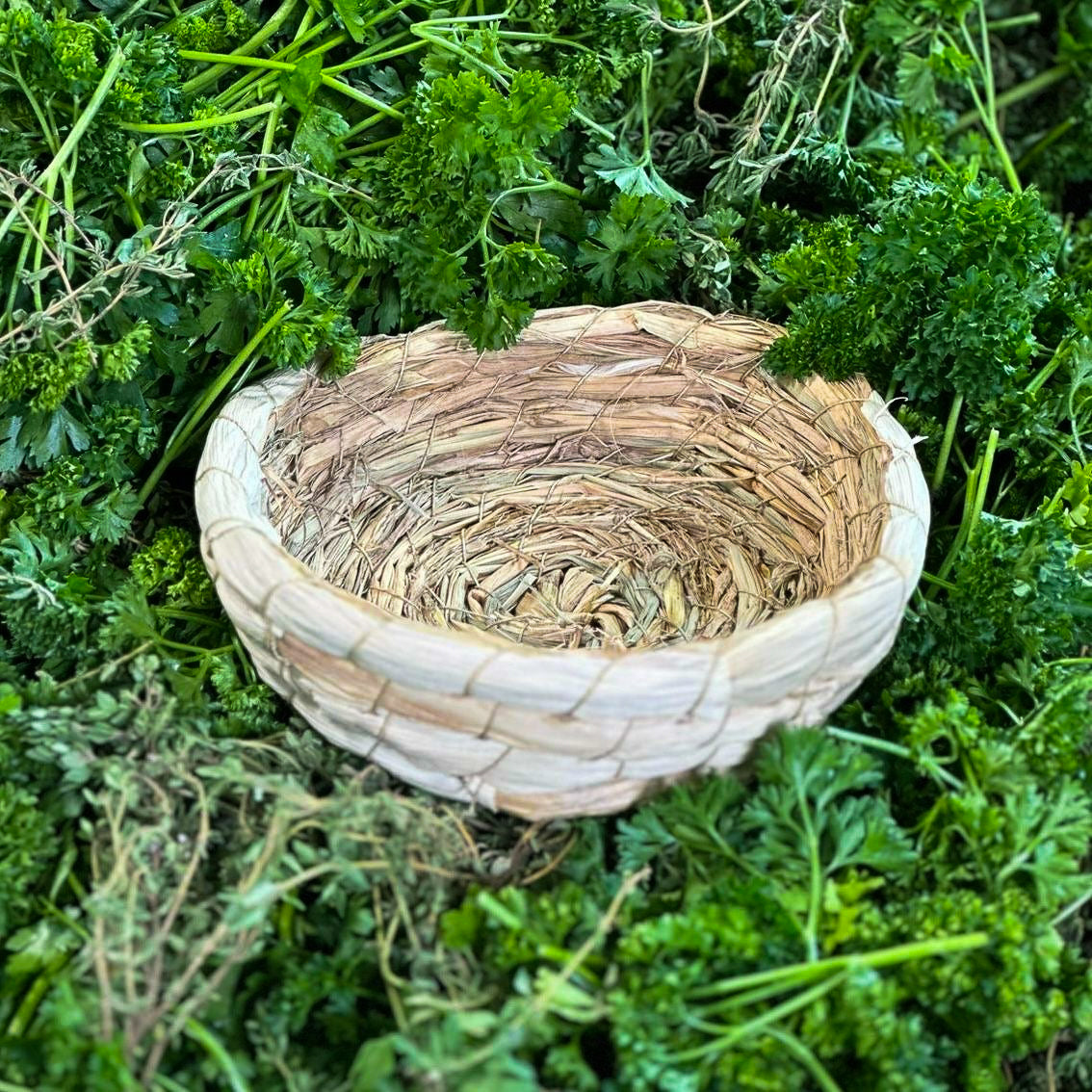 Grasschale, rund