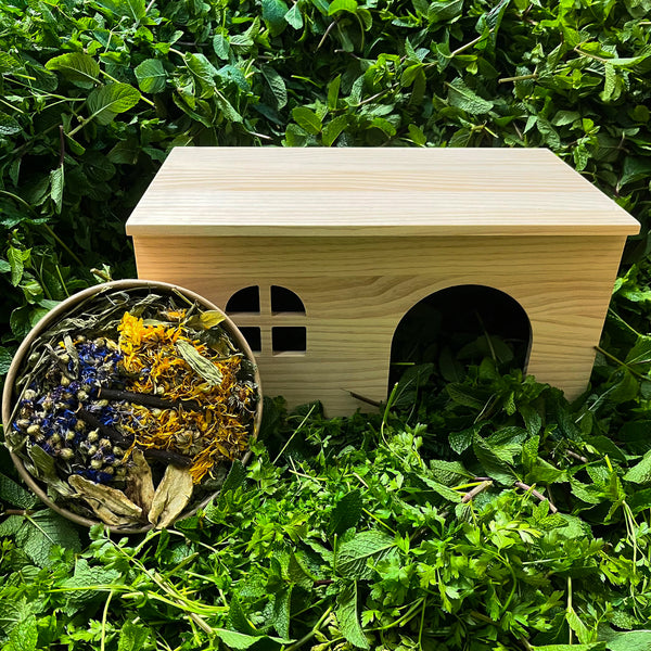 Houten huis, 2 ingangen en ramen