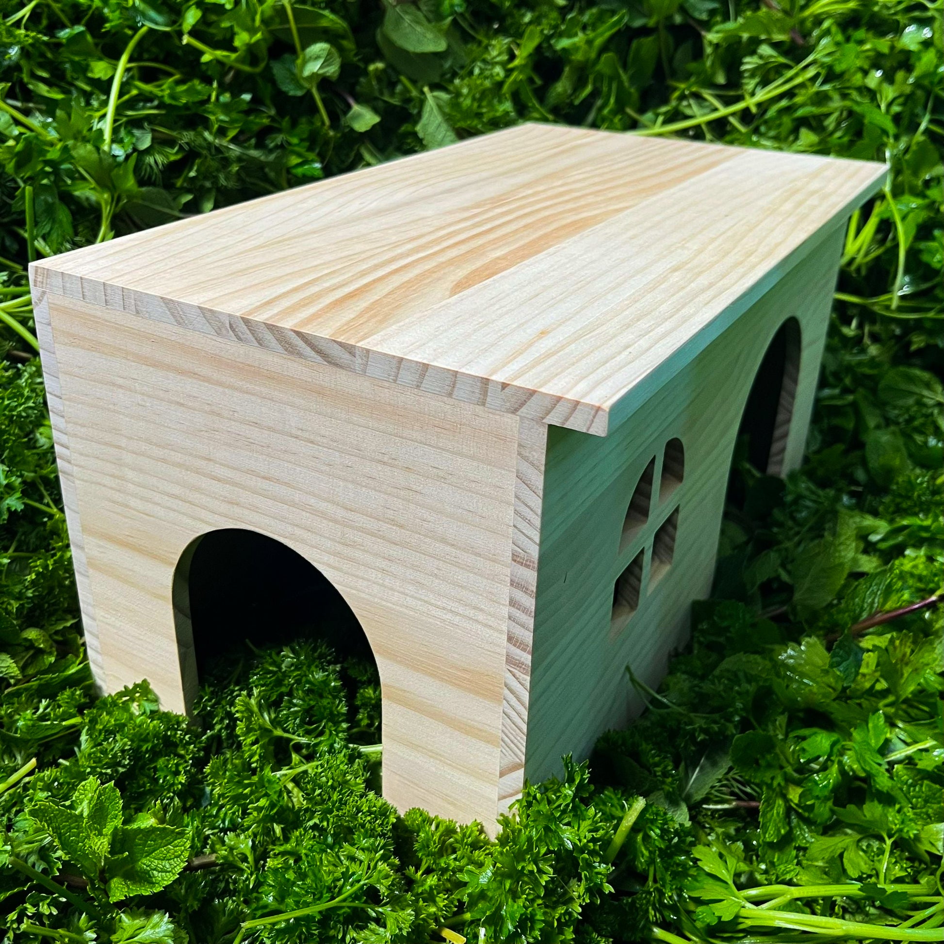 Holzhaus, 2 Eingänge und Fenster